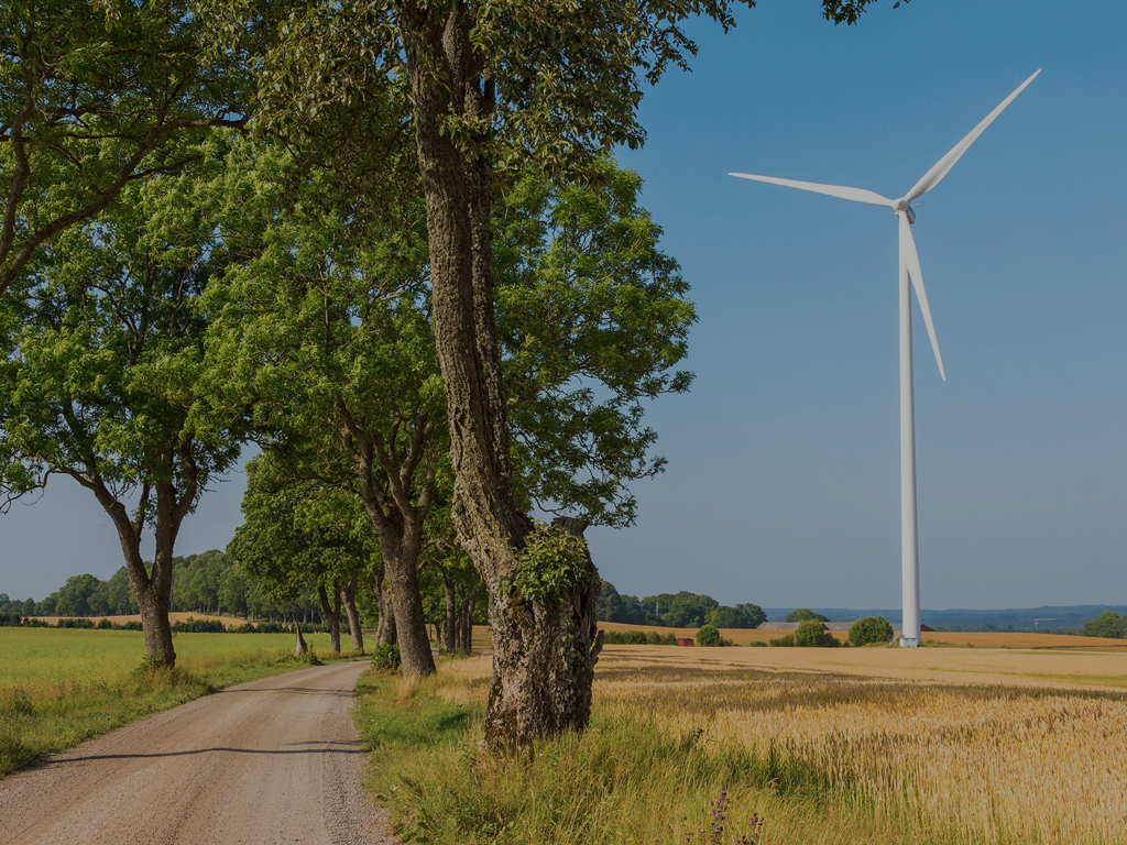 Allé genom landsbygden med vindkraftverk i bakgrunden